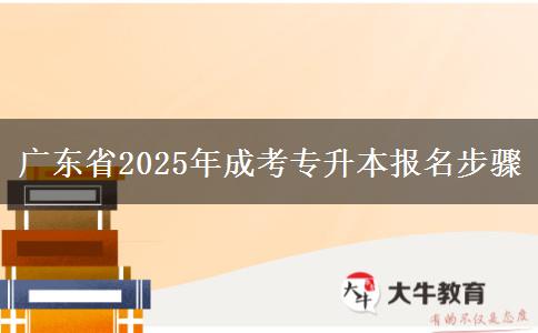 广东省2025年成考专升本报名步骤
