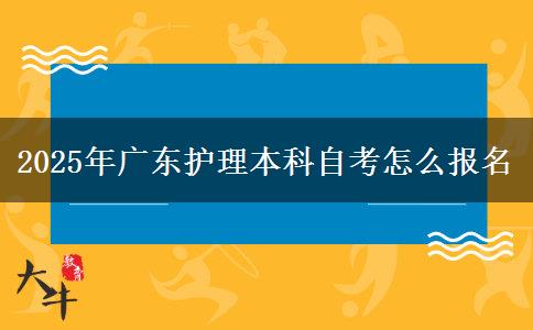 2025年广东护理本科自考怎么报名