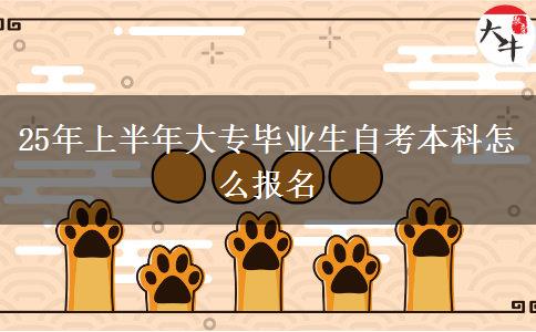 25年上半年大专毕业生自考本科怎么报名