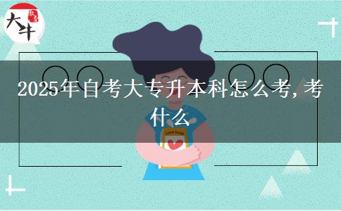 2025年自考大专升本科怎么考,考什么