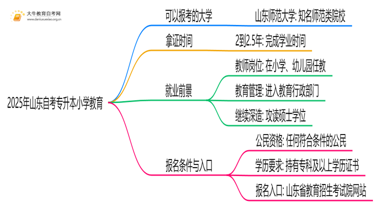 2025年山东自考专升本小学教育能报哪些大学？思维导图