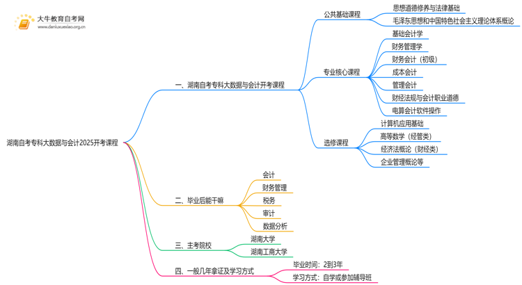 湖南自考专科大数据与会计2025开考课程（新）思维导图
