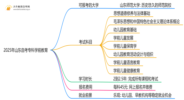 2025年山东自考专科学前教育能报哪些大学？思维导图