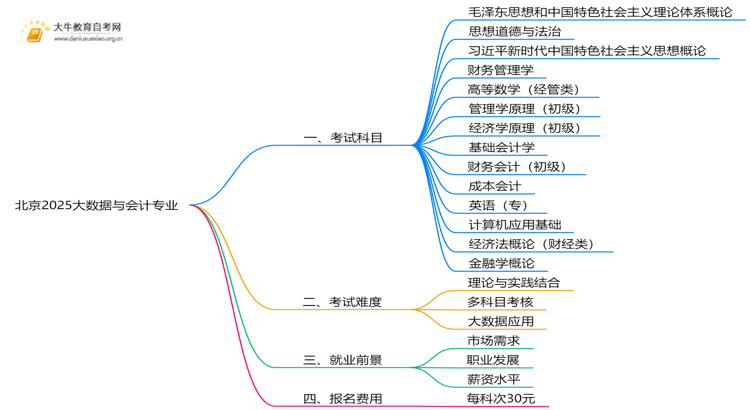 北京2025大数据与会计专业考试科目一览思维导图