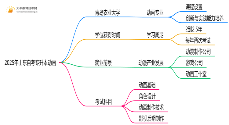 2025年山东自考专升本动画能报哪些大学？思维导图