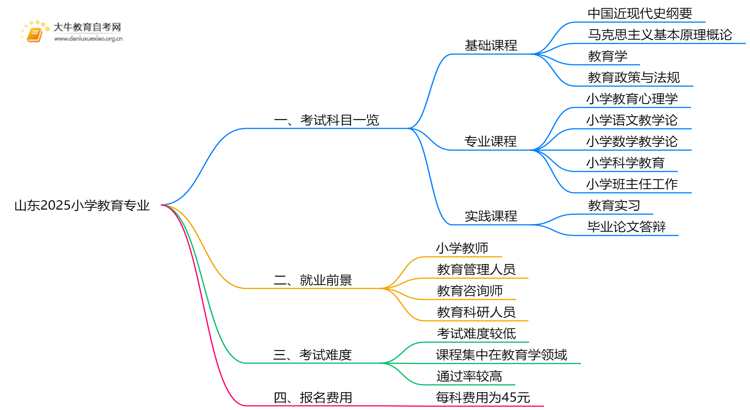 山东2025小学教育专业考试科目一览思维导图