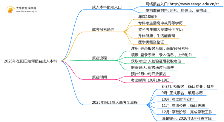 2025年在阳江如何报名成人本科？思维导图