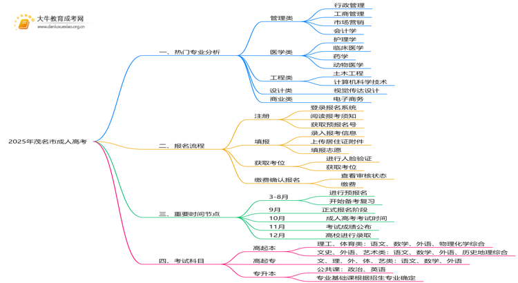 2025年茂名市成人高考的所有专业（最新）思维导图