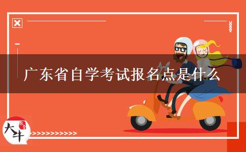 广东省自学考试报名点是什么
