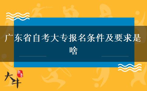 广东省自考大专报名条件及要求是啥