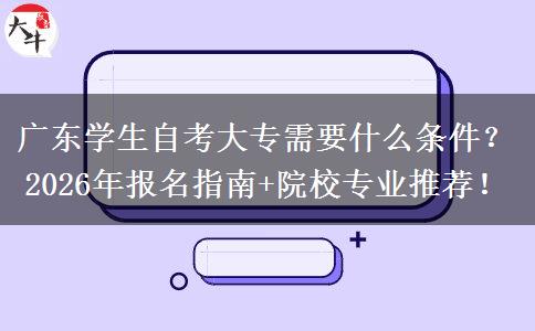 广东学生自考大专需要什么条件？2026年报名指南+院校专业推荐！