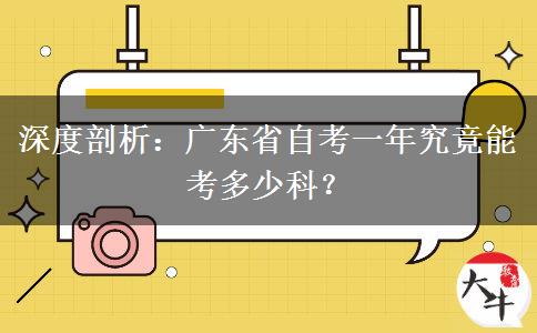 深度剖析：广东省自考一年究竟能考多少科？
