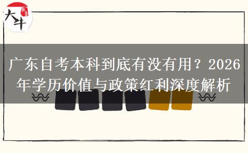 广东自考本科到底有没有用？2026年学历价值与政策红利深度解析