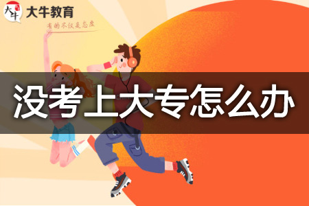 没考上大专