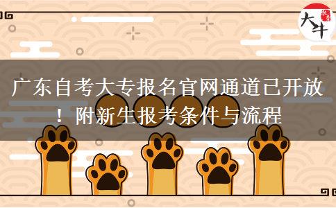 广东自考大专报名官网通道已开放！附新生报考条件与流程