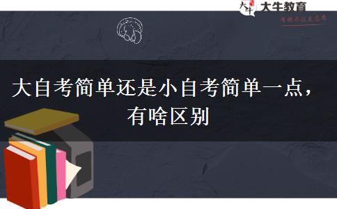 大自考简单还是小自考简单一点，有啥区别