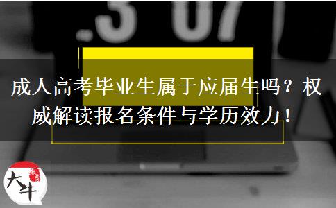 成人高考毕业生属于应届生吗？权威解读报名条件与学历效力！