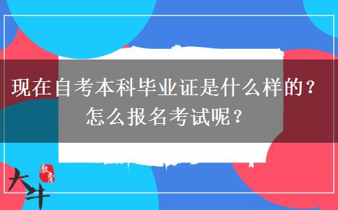 现在自考本科毕业证是什么样的？怎么报名考试呢？