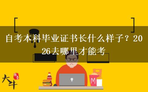 自考本科毕业证书长什么样子？2026去哪里才能考