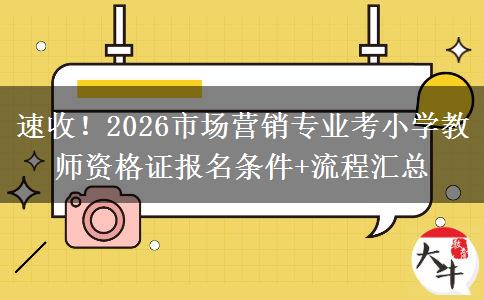 速收！2026市场营销专业考小学教师资格证报名条件+流程汇总