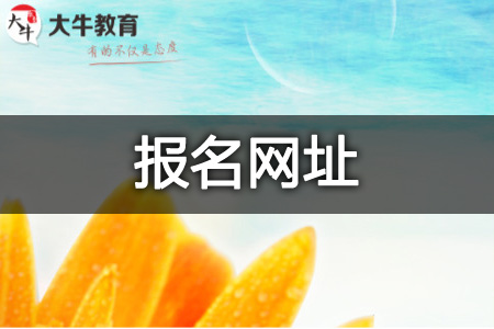 自学考试 自学考试