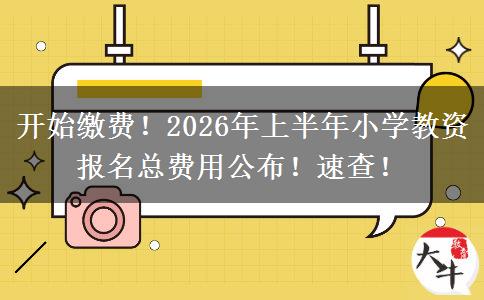 开始缴费!2026年上半年小学教资报名总费用公布!速查! 开始缴费!2026年上半年小学教资报名总费用公布!速查!
