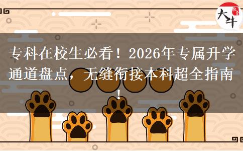 专科在校生必看！2026年专属升学通道盘点，无缝衔接本科超全指南！