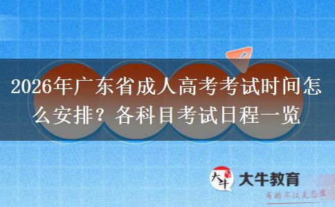 2026年广东省成人高考考试时间怎么安排？各科目考试日程一览
