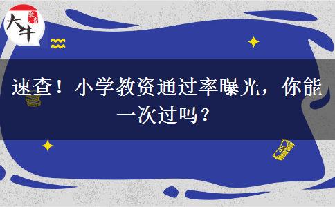 速查！小学教资通过率曝光，你能一次过吗？