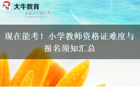 现在能考！小学教师资格证难度与报名须知汇总