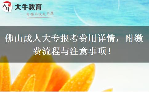 佛山成人大专报考费用详情，附缴费流程与注意事项！