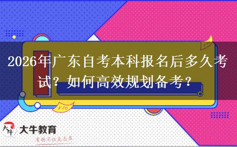 2026年广东自考本科报名后多久考试？如何高效规划备考？