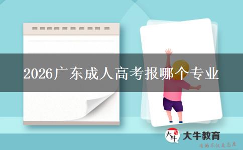 2026广东成人高考报哪个专业