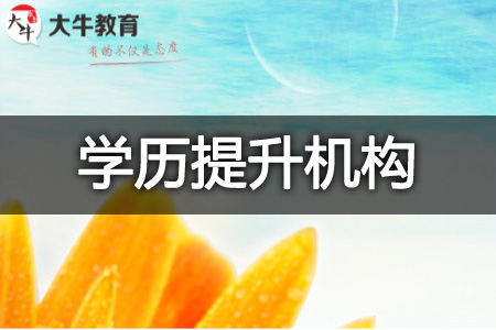 成考学历提升机构