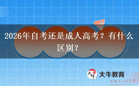 2026年自考还是成人高考？有什么区别？