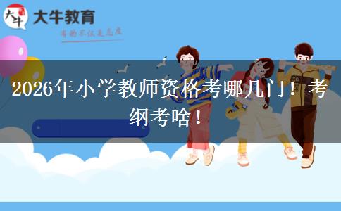 2026年小学教师资格考哪几门！考纲考啥！