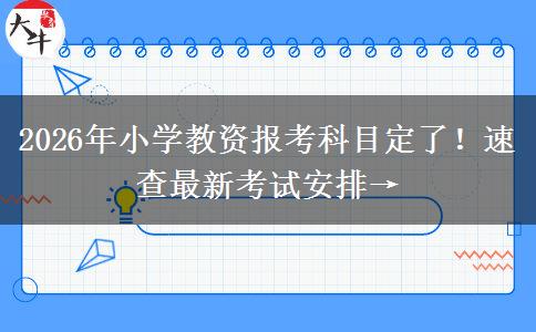 2026年小学教资报考科目定了！速查最新考试安排→