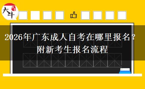 2026年广东成人自考在哪里报名？附新考生报名流程