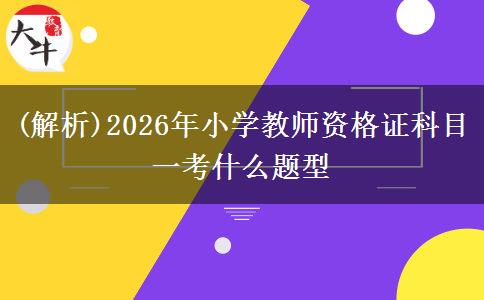 (解析)2026年小学教师资格证科目一考什么题型