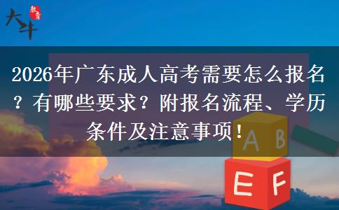 2026年广东成人高考需要怎么报名？有哪些要求？附报名流程、学历条件及注意事项！