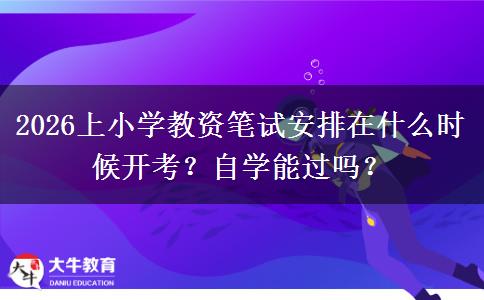 2026上小学教资笔试安排在什么时候开考？自学能过吗？