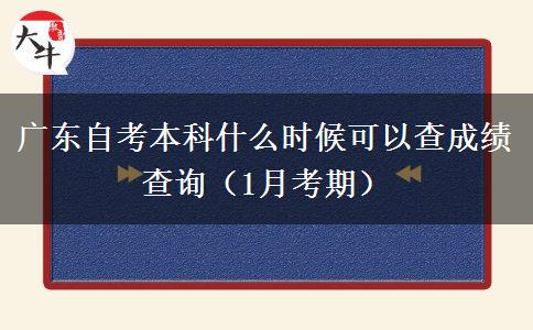 广东自考本科什么时候可以查成绩查询（1月考期）