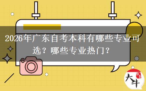 2026年广东自考本科有哪些专业可选？哪些专业热门？