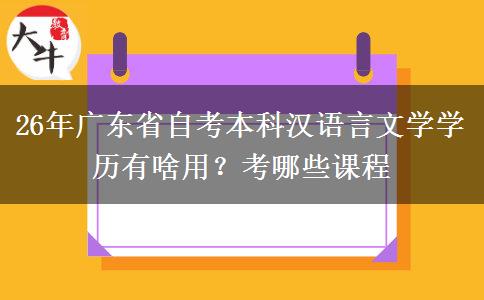 26年广东省自考本科汉语言文学学历有啥用？考哪些课程