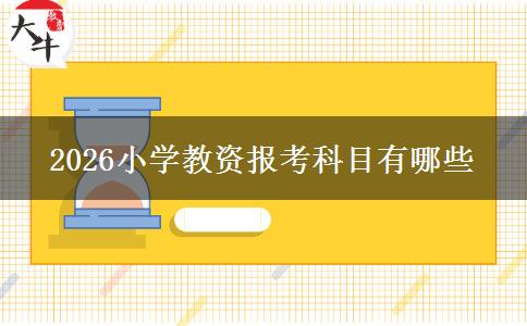 2026小学教资报考科目有哪些