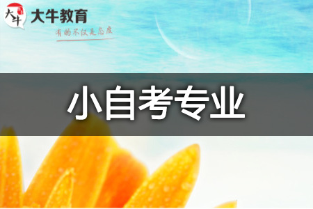 小自考专业