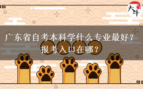 广东省自考本科学什么专业最好？报考入口在哪？