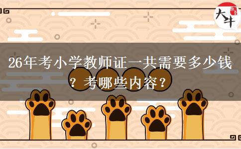 26年考小学教师证一共需要多少钱？考哪些内容？