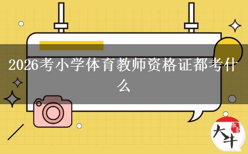 2026考小学体育教师资格证都考什么