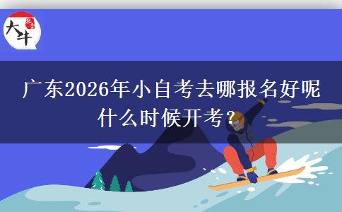 广东2026年小自考去哪报名好呢 什么时候开考？